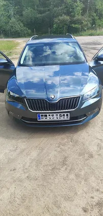 samochody osobowe Skoda Superb cena 112000 przebieg: 87500, rok produkcji 2019 z Lubsko